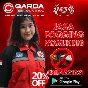 jasa fogging mobil Profesional Karawang
