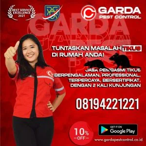 Jasa Pembasmi Tikus di Jakarta Selatan Profesional