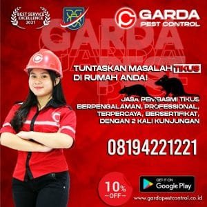 Jasa Usir Tikus Jakarta Selatan