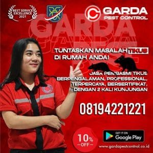 Jasa Pengusir Tikus Kota Depok