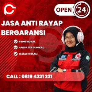 Jasa Pembasmi Rayap Di Solo