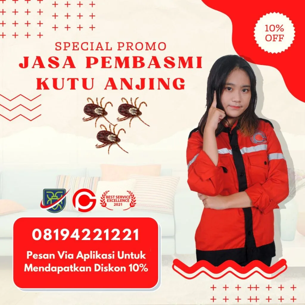 Jasa Pembasmi Kutu Anjing Bandung