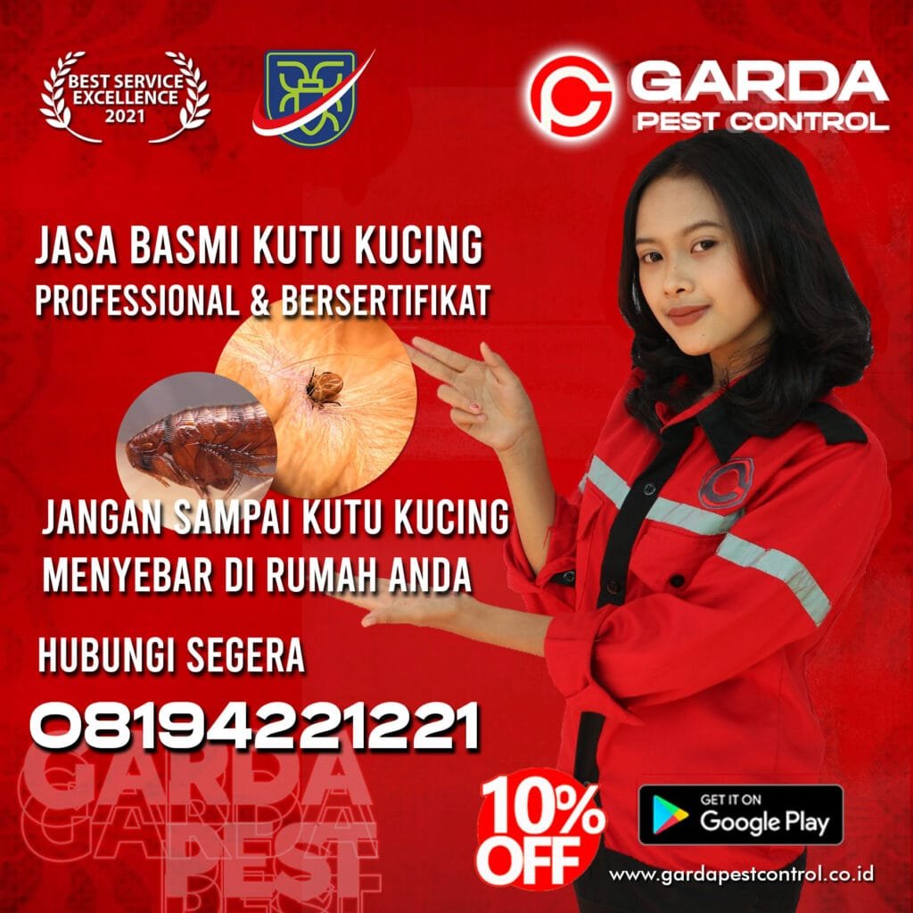 Harga Jasa Pembasmi Kutu Kucing di Bogor