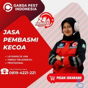 Jasa Pembasmi Kecoa Bogor
