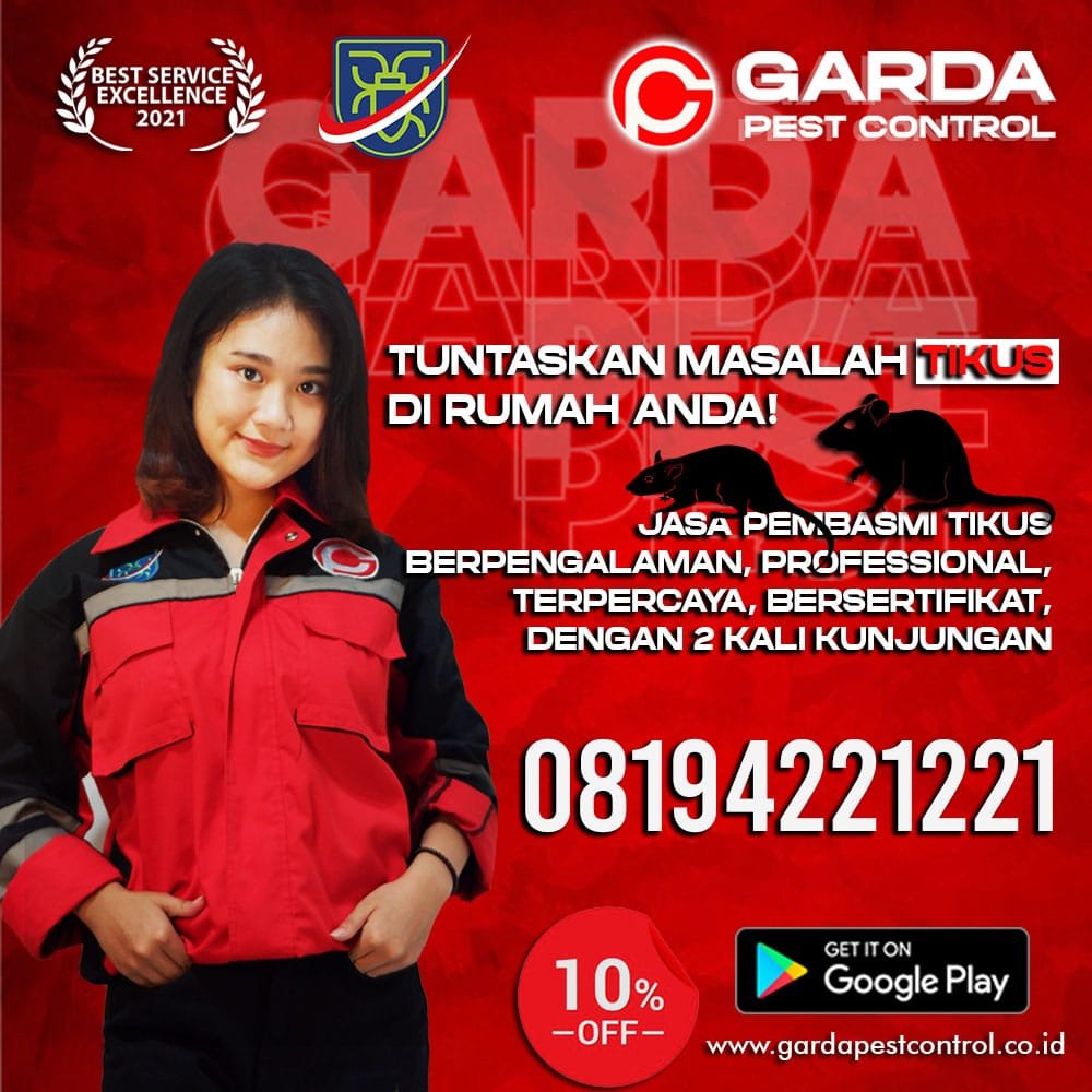 Jasa Pembasmi Tikus di Bandung Profesional