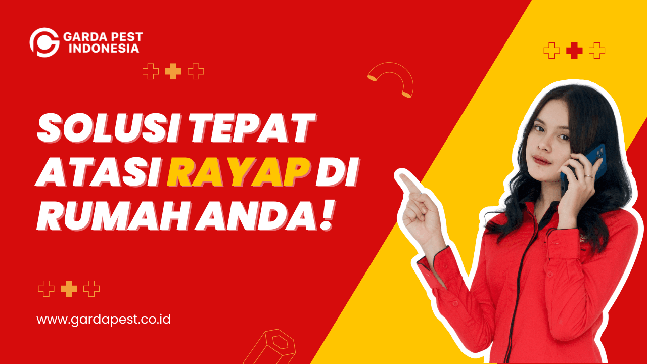 Jasa Anti Rayap Garut