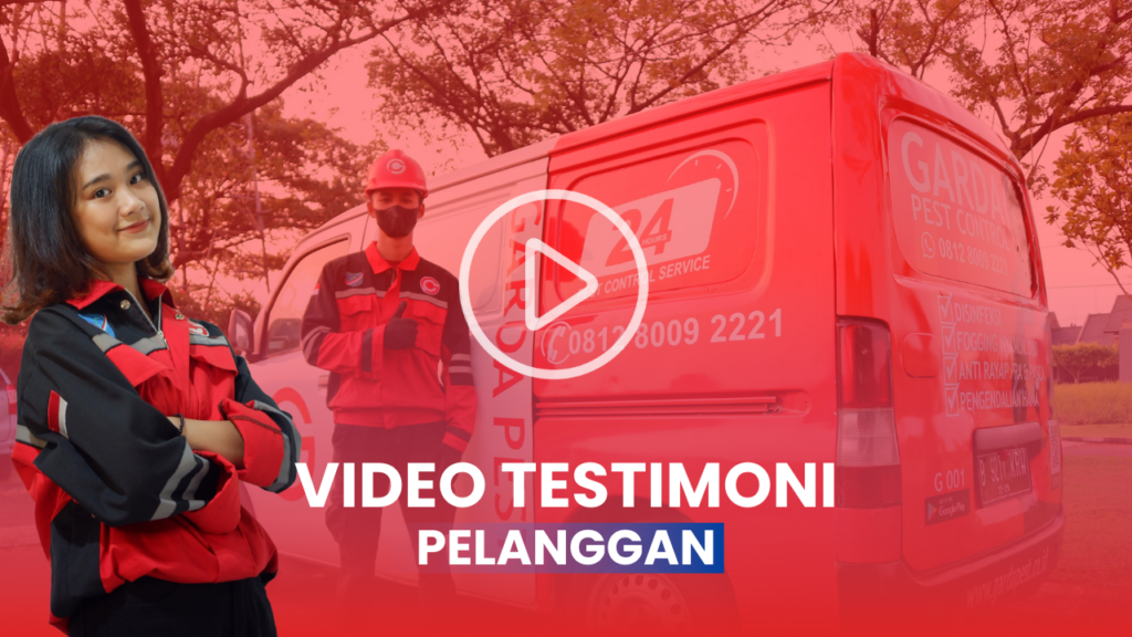 Testimoni Garda Pest