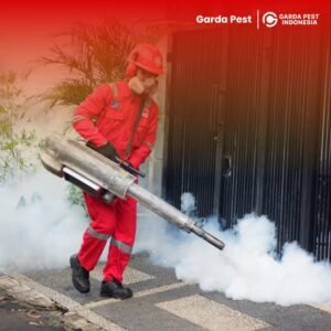 Jasa Foging Nyamuk Terdekat di Tasikmalaya