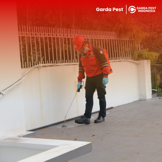 Jasa Pembasmi Lalat di Tasikmalaya Cepat Berkualitas