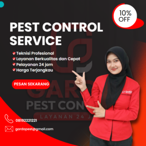 Jasa Suntik Rayap di Tasikmalaya Terbaik dan Berlisensi