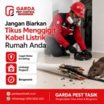 Biaya Jasa Pembasmi Tikus di Tasikmalaya: Panduan Tarif dan Penanganan Lengkap