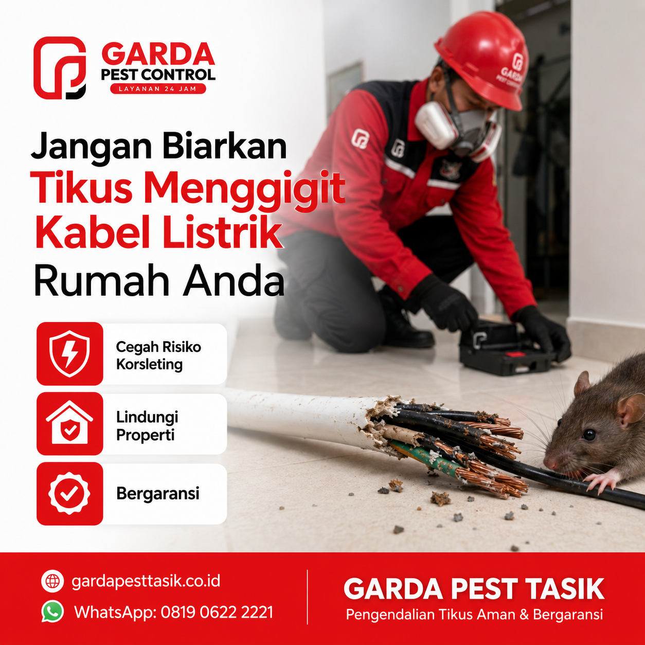 Biaya Jasa Pembasmi Tikus di Tasikmalaya: Panduan Tarif dan Penanganan Lengkap