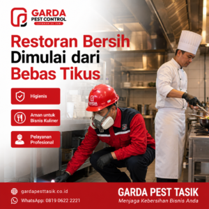 Jasa Pembasmi Tikus Bergaransi di Tasikmalaya