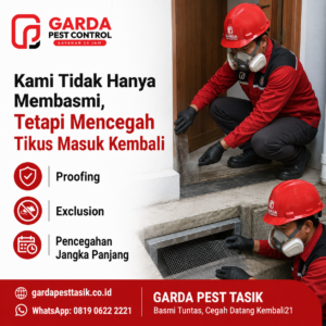 Jasa Pembasmi Tikus Plafon Rumah Tasikmalaya