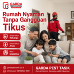 Jasa Pembasmi Tikus Plafon Rumah Tasikmalaya